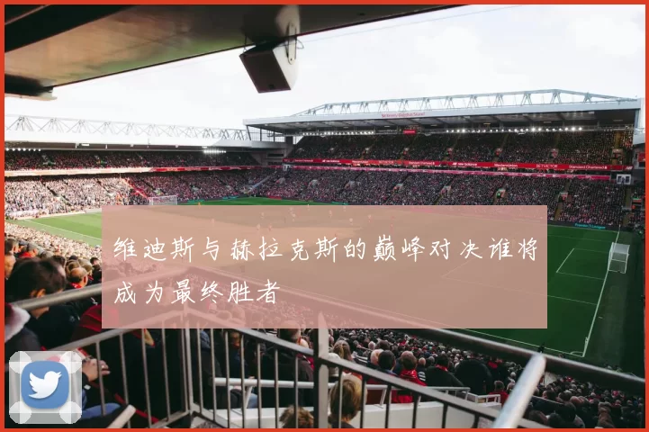 维迪斯与赫拉克斯的巅峰对决谁将成为最终胜者