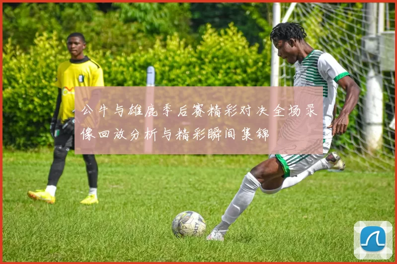 公牛与雄鹿季后赛精彩对决全场录像回放分析与精彩瞬间集锦