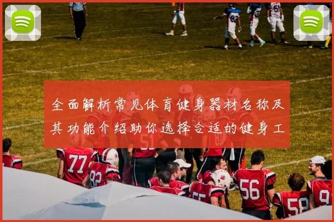 全面解析常见体育健身器材名称及其功能介绍助你选择合适的健身工具