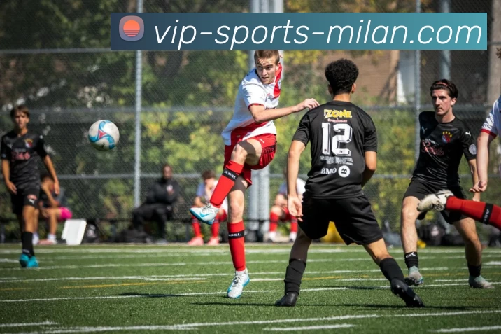 米兰官网APP 封面图